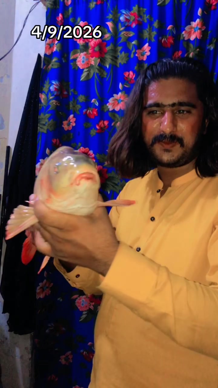 @Rana Mani