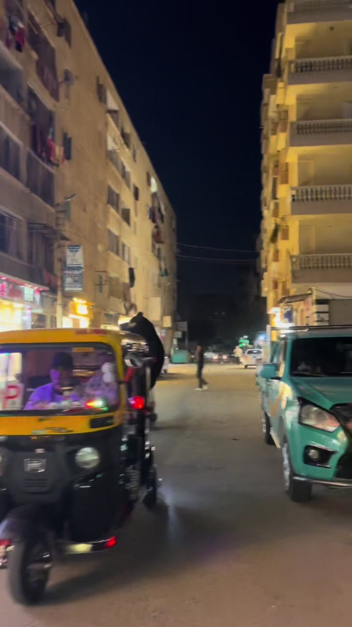 @بودا بتاع غوريلا🦍🔥