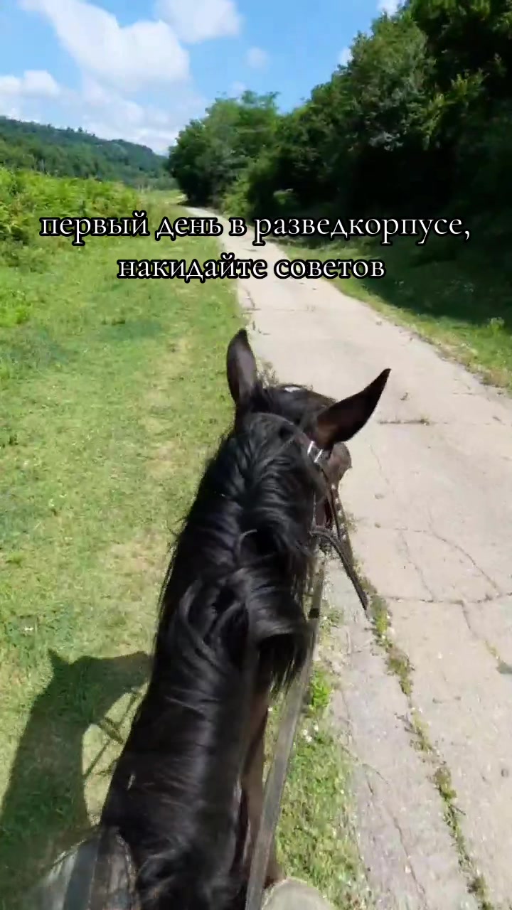 @YJ | TGC : бочкарева раздает..