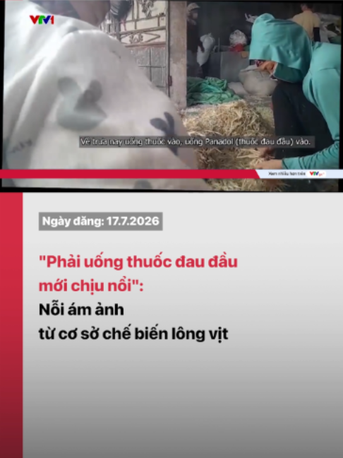 @VTV24