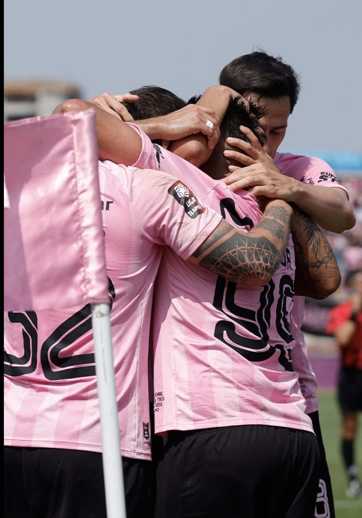 @Liga de Fútbol Profesional