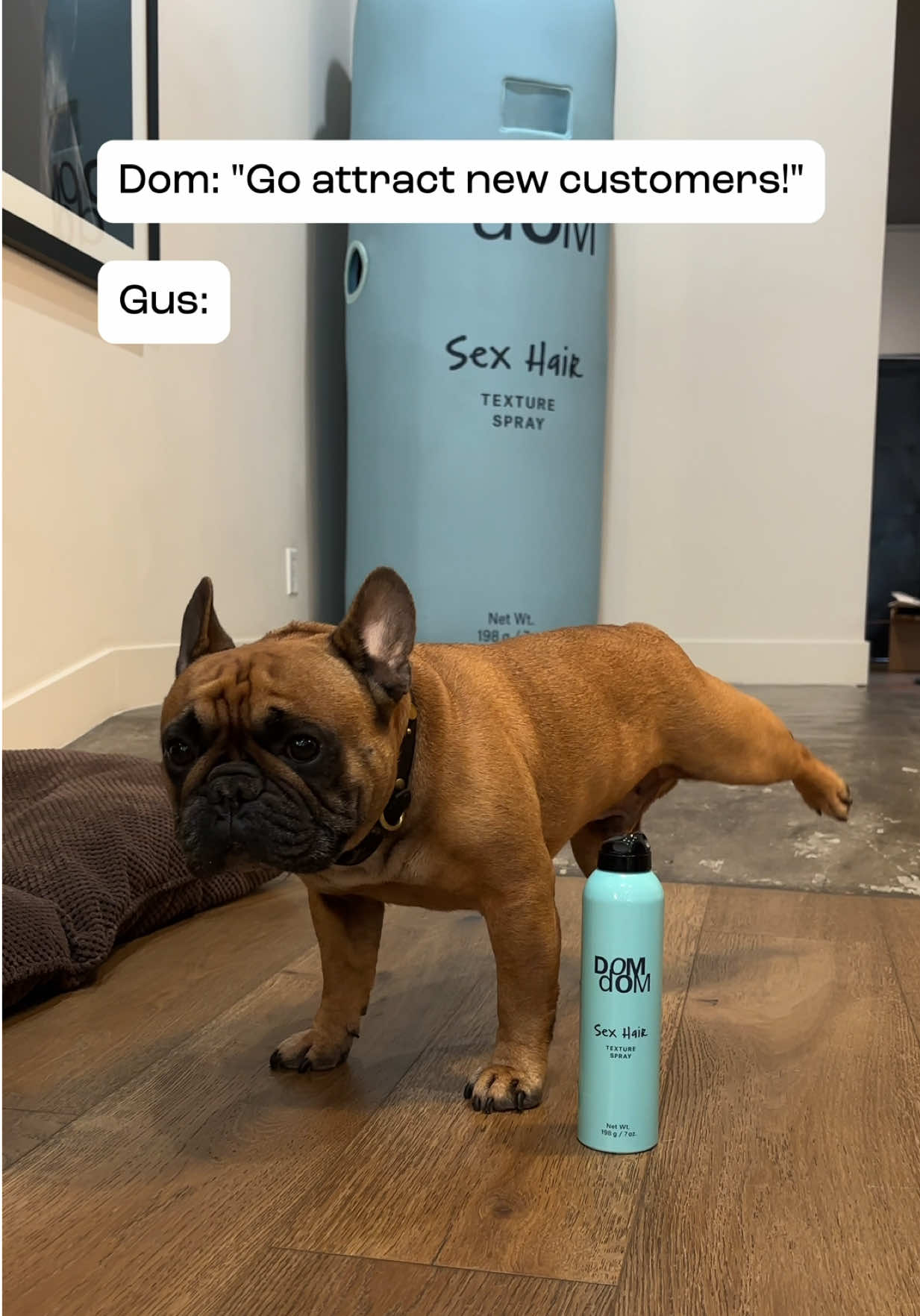 @DomDomHair