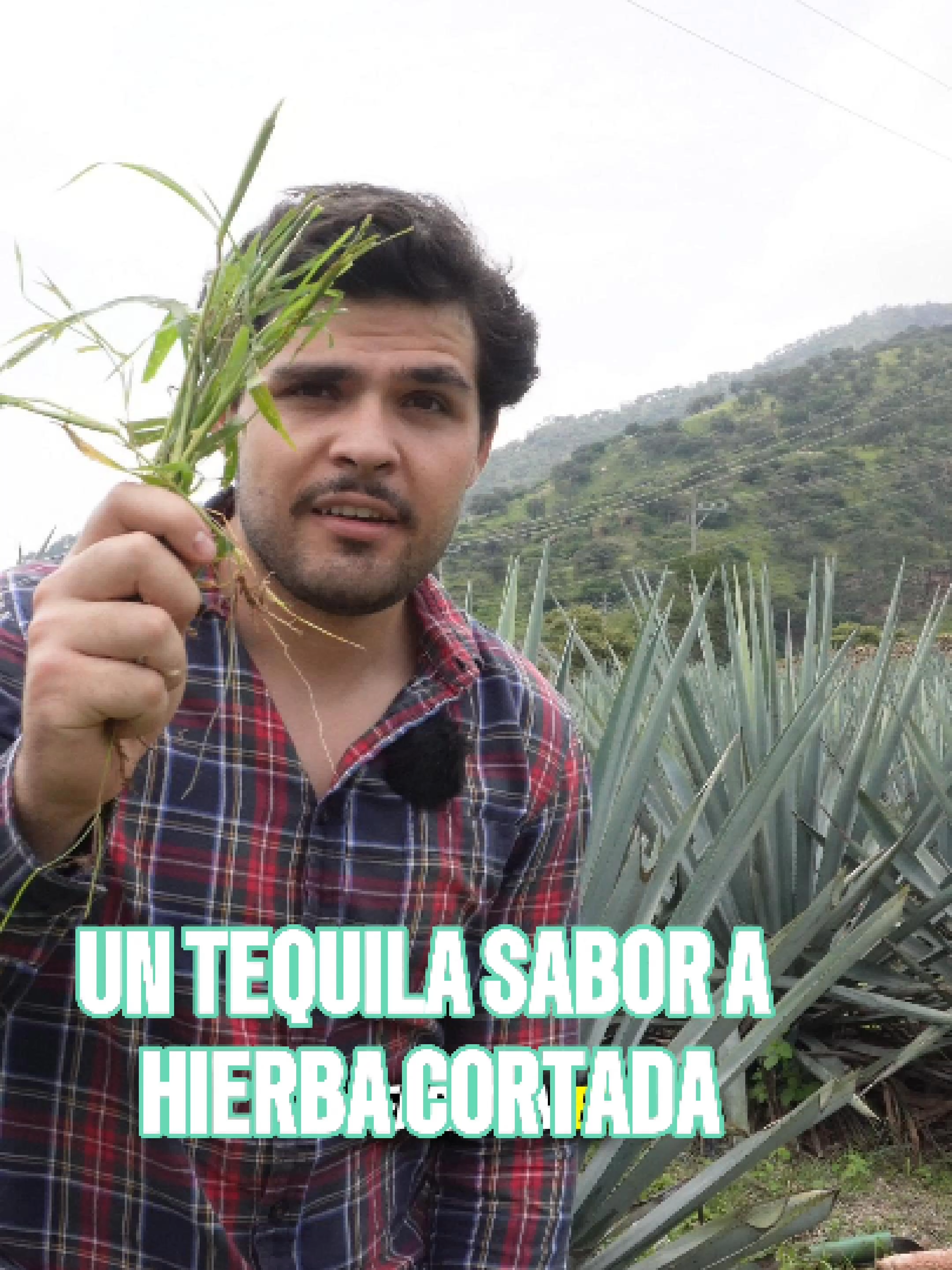 @los buchifresas