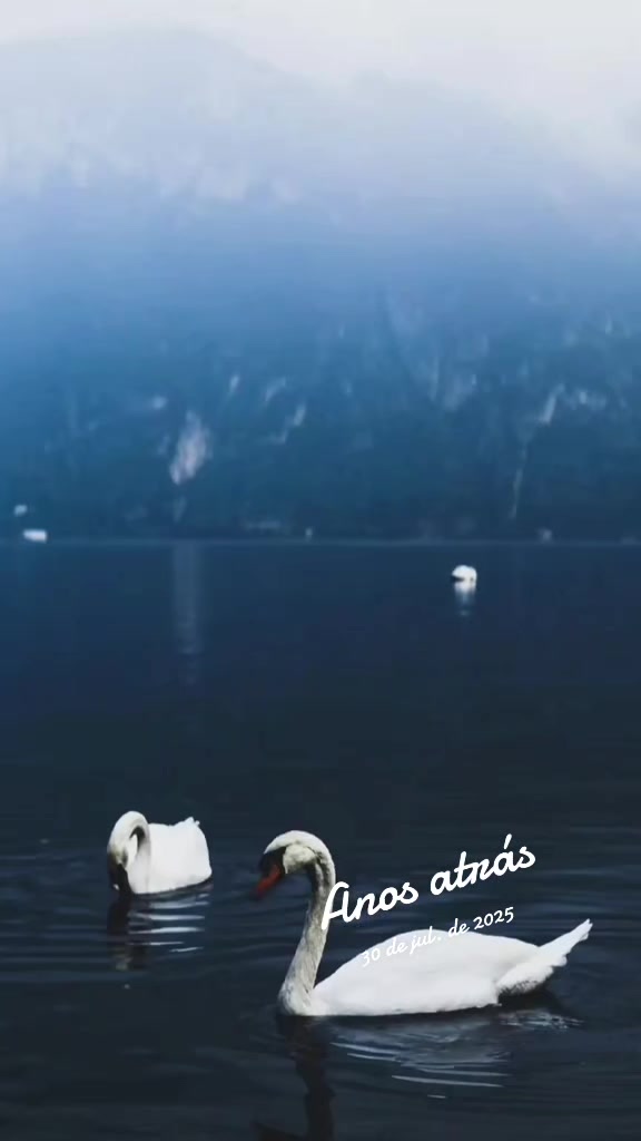 @maria Alves