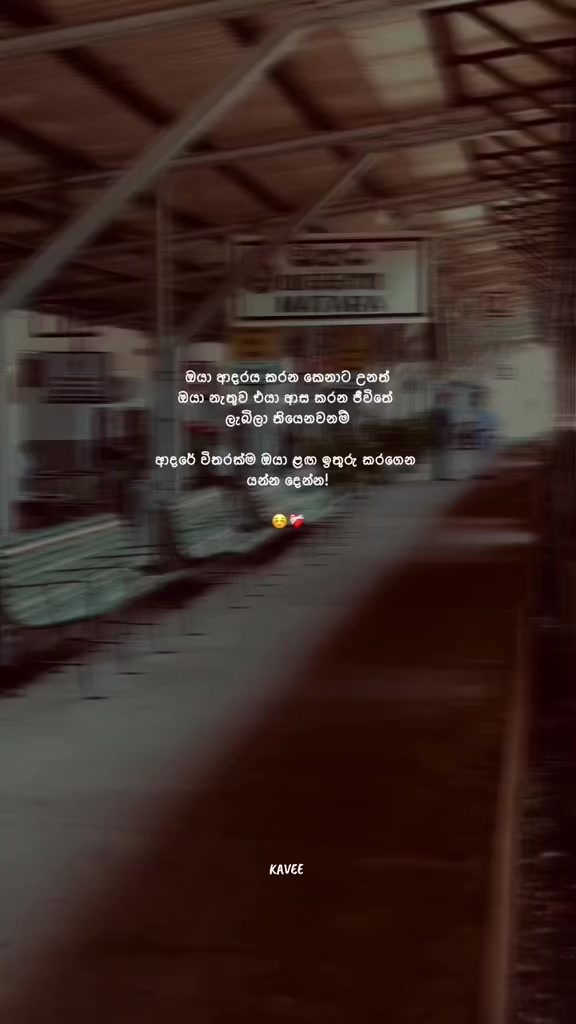 @𝑲 𝑨 𝑽 𝑬 𝑬 🪼