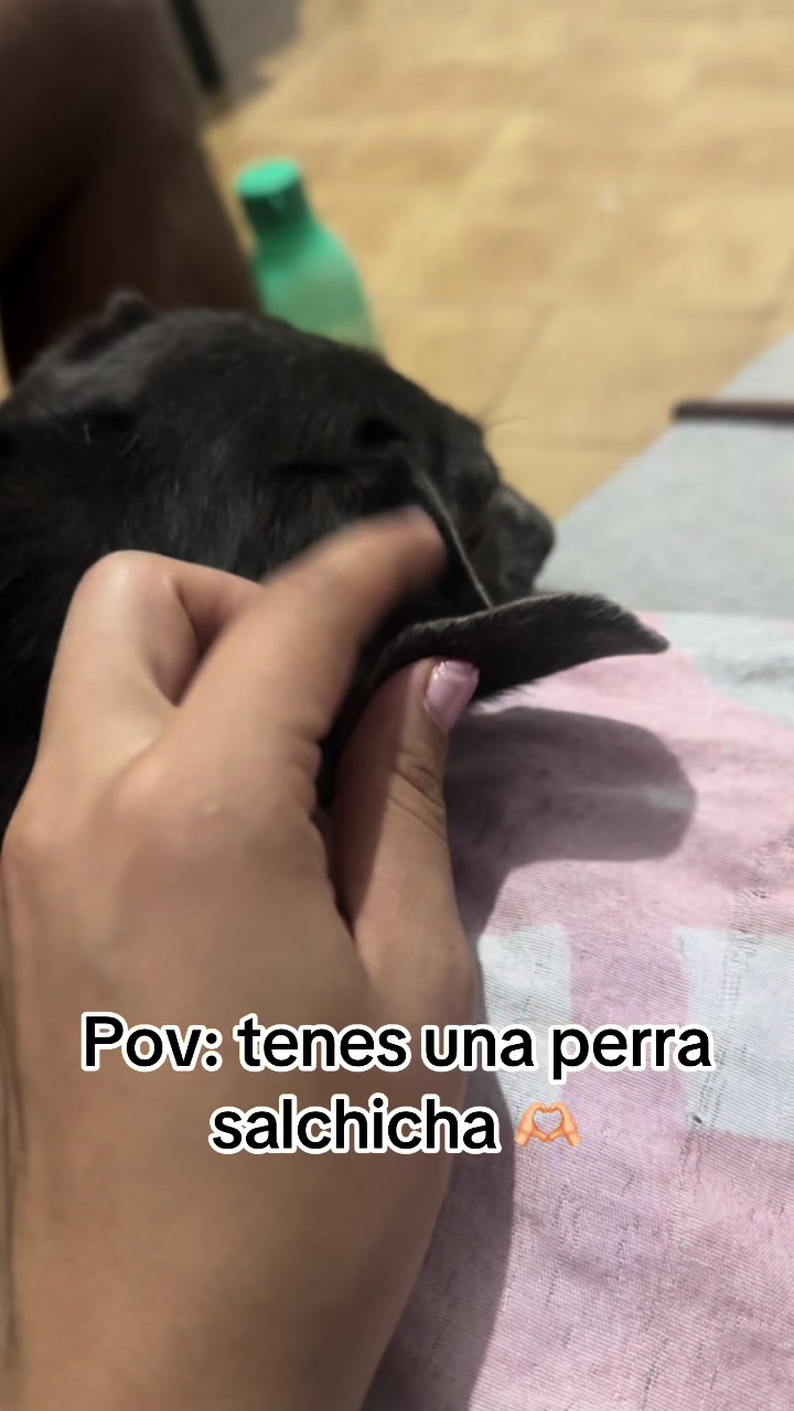 @Aldana Medina