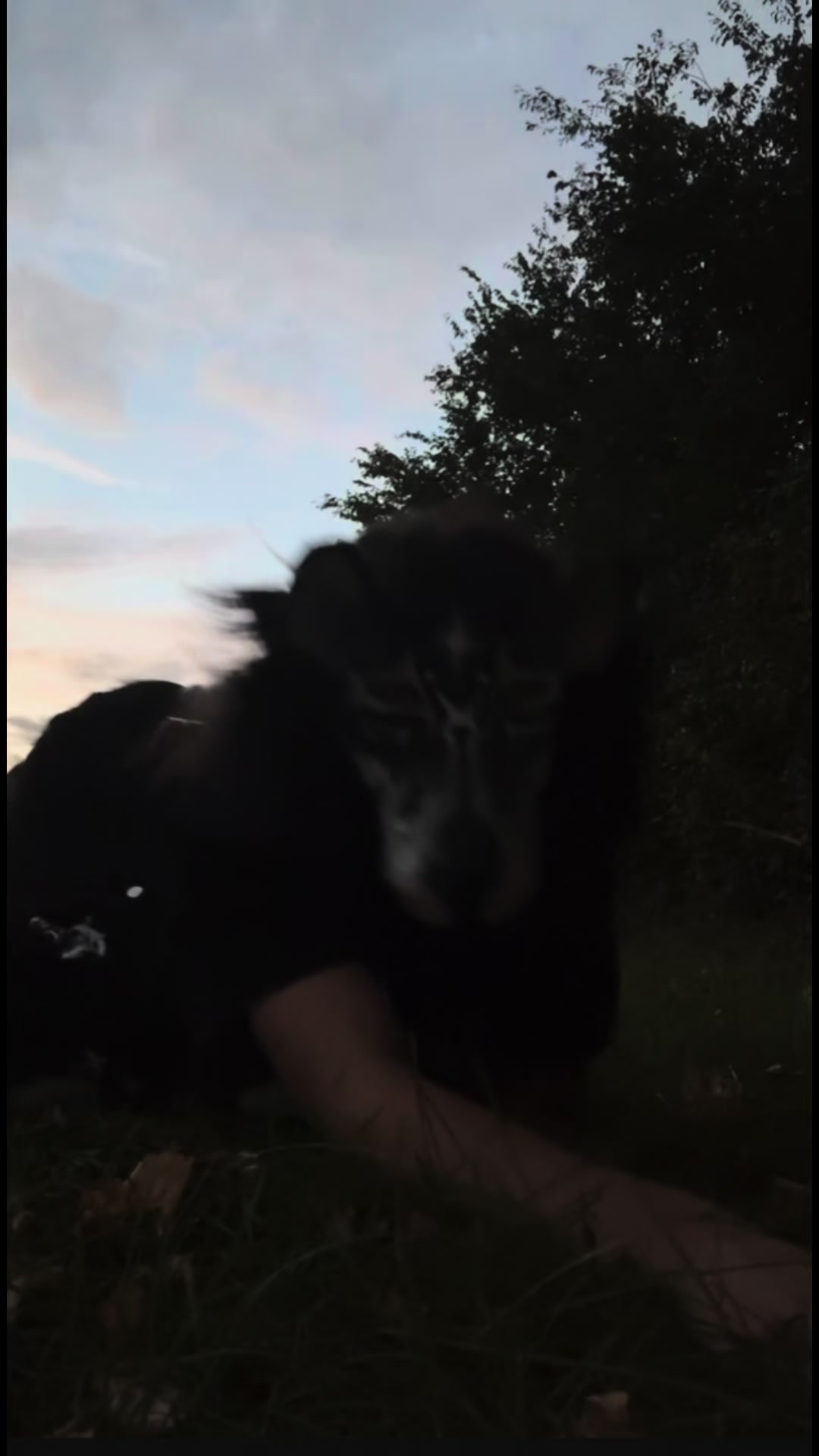 @🌲🌿🪨RAVEN🪨🌿🌲