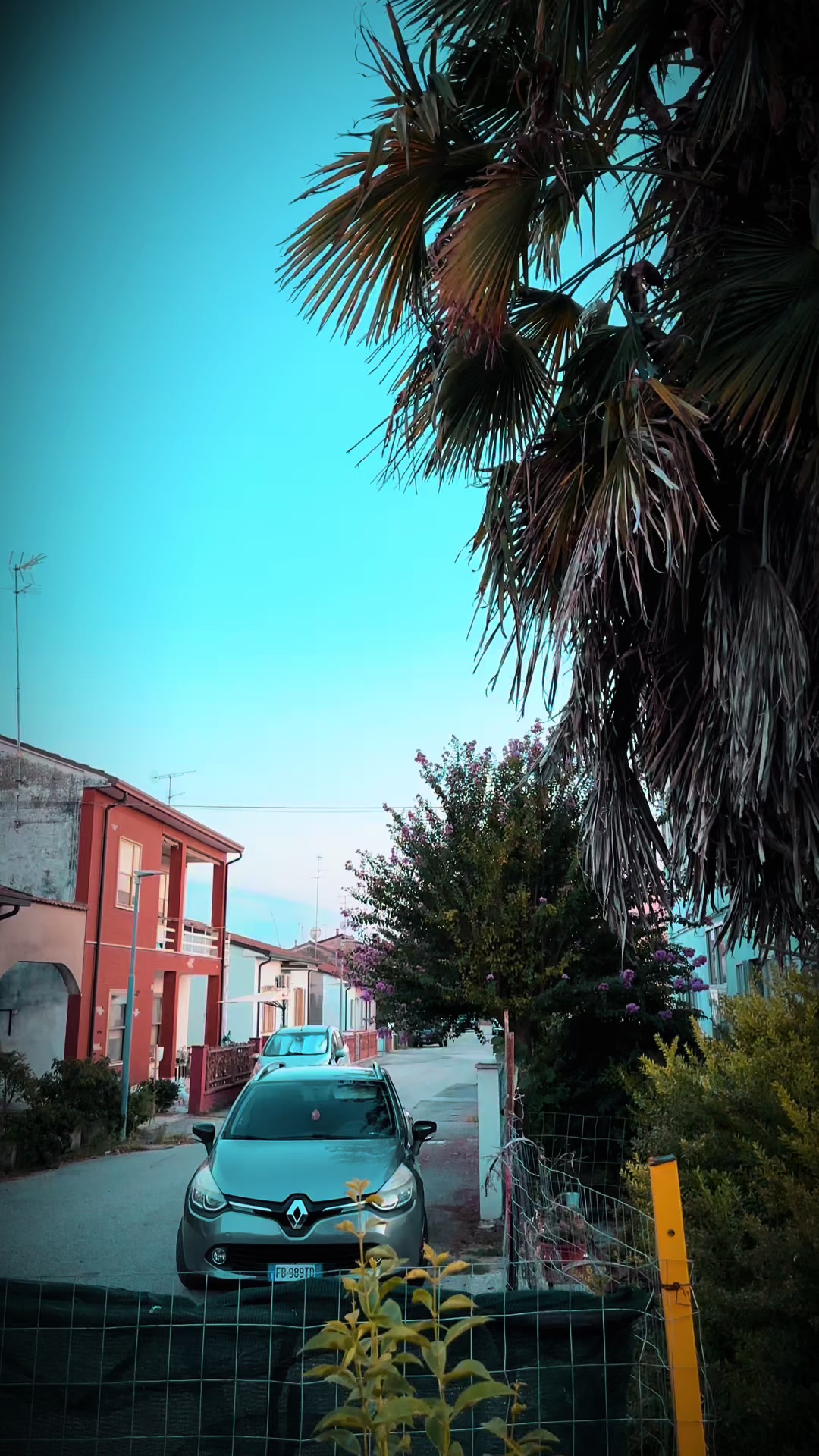 @𝐍𝐀𝐄𝐄𝐌 𝐂𝐇𝐀𝐔𝐃𝐇𝐀𝐑𝐘