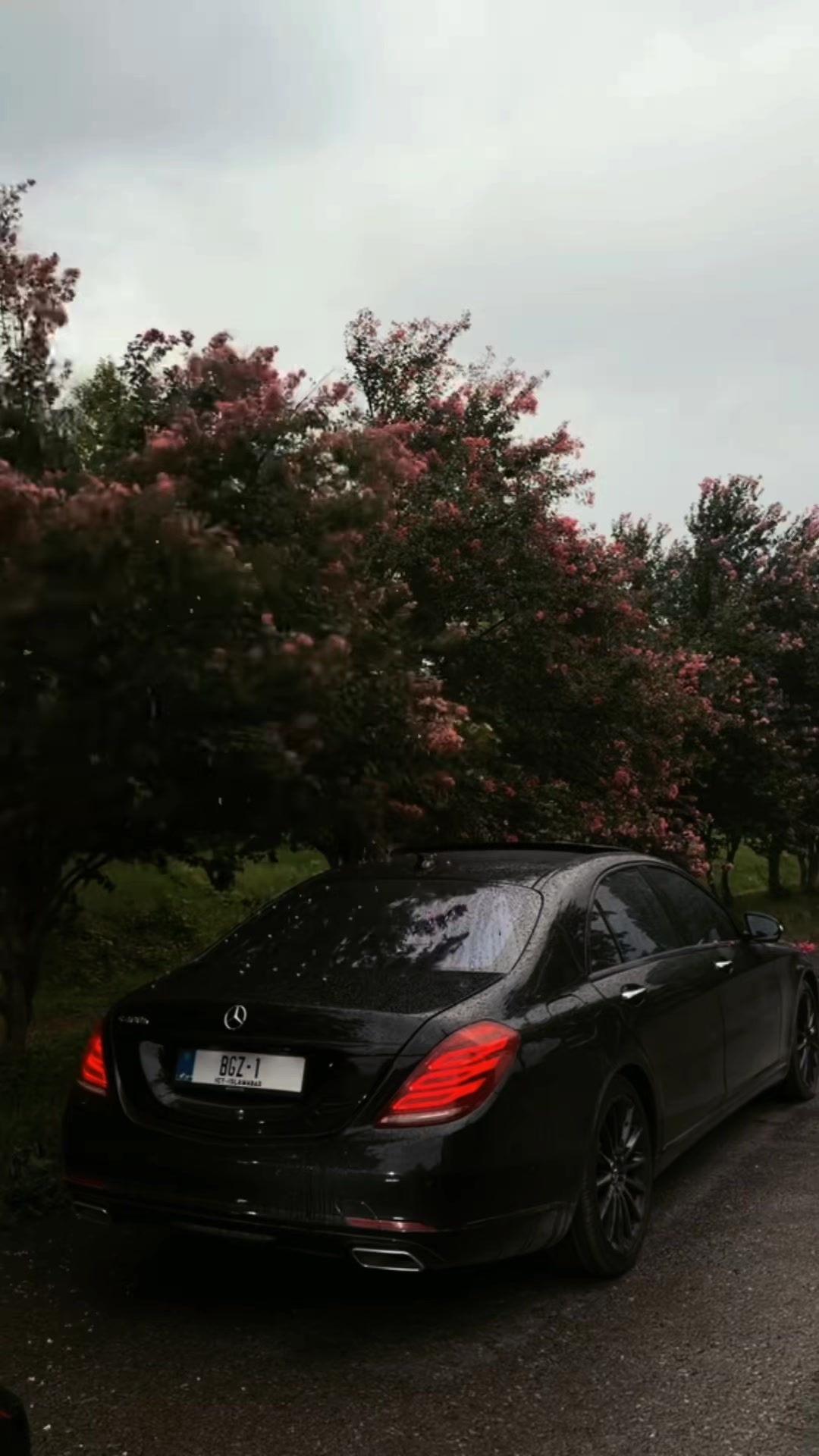 @موسی زمان