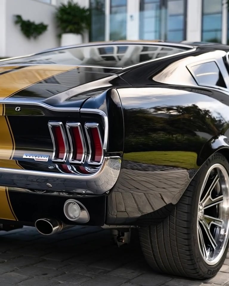 @Mustang / Muscle (USA)