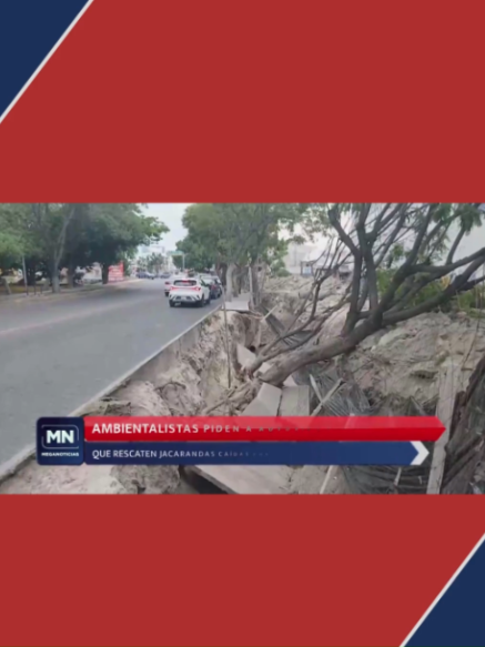 @Meganoticias Tehuacán