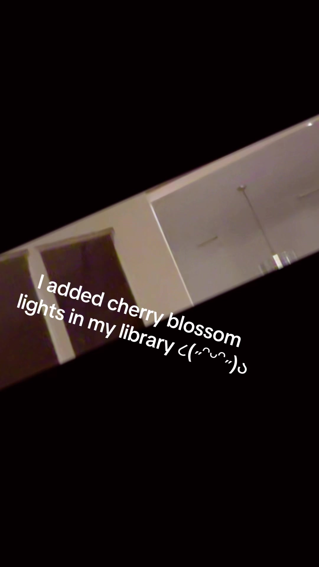@Lindsaylight