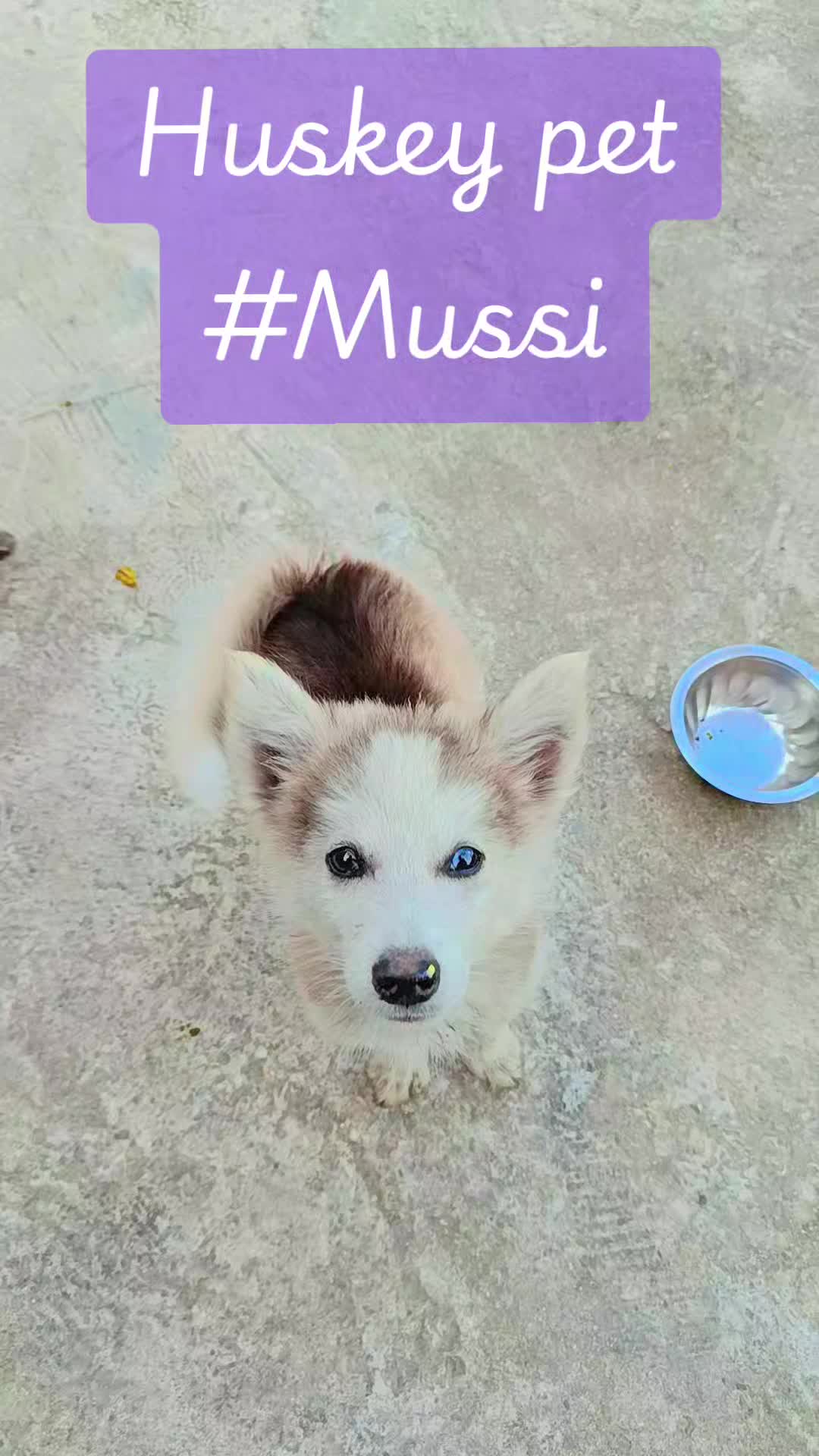 @PASA 111