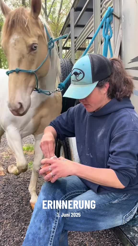 @Sandra&rsquo;s pale herd 🐴
