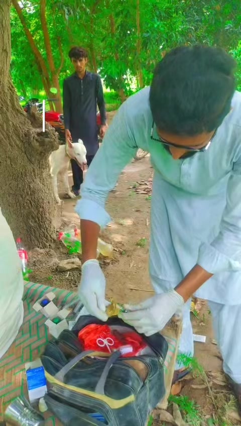 @Dr.Faheem meo MVCC