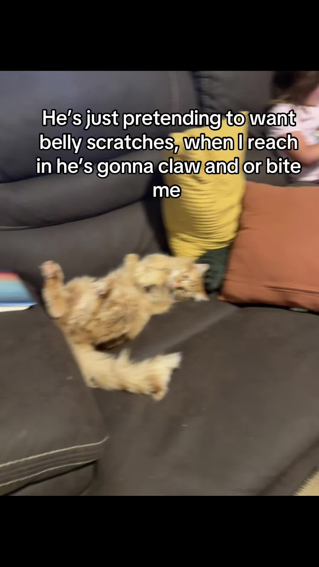@Kris10LC_