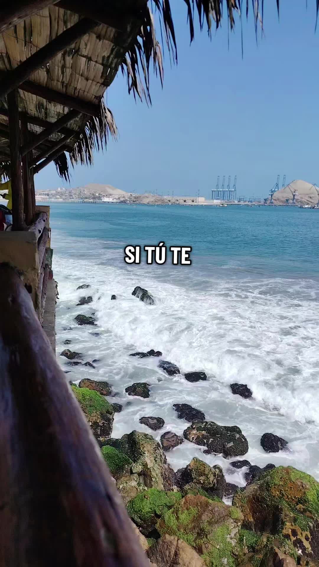 @Xiomara Cortez❤