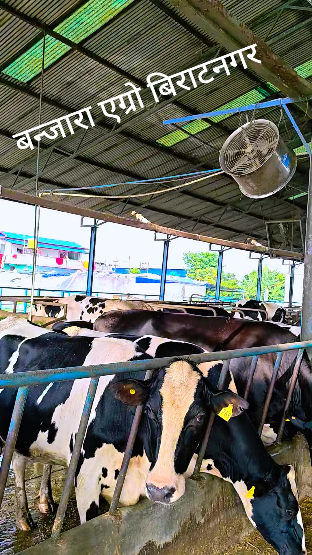 @Banjara Agro