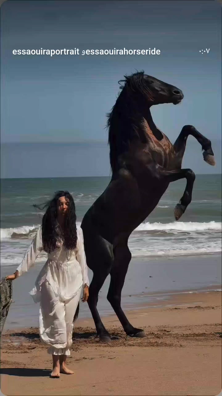 @الهجان
