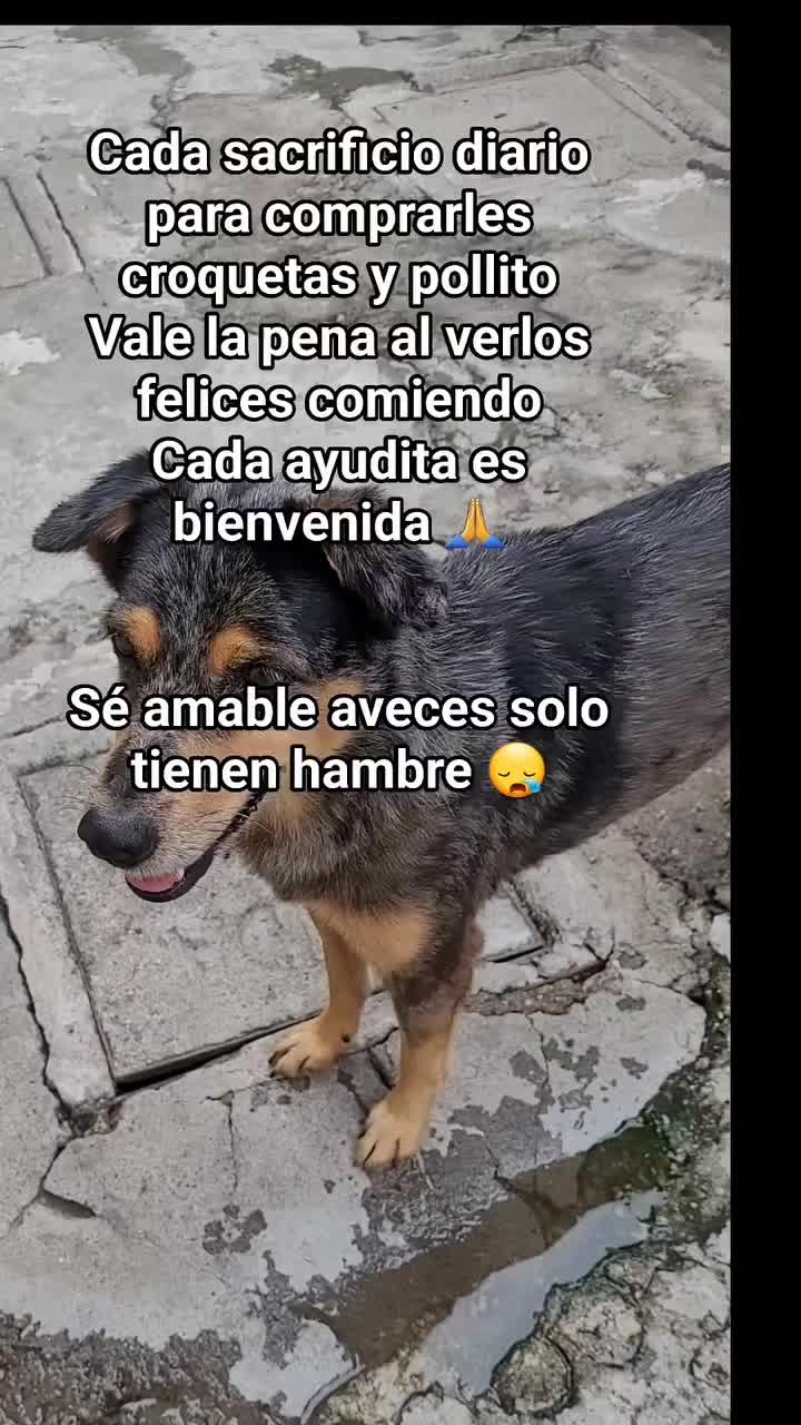 @𝕃𝕚𝕤𝕤 ℝ𝕖yes🇸🇻