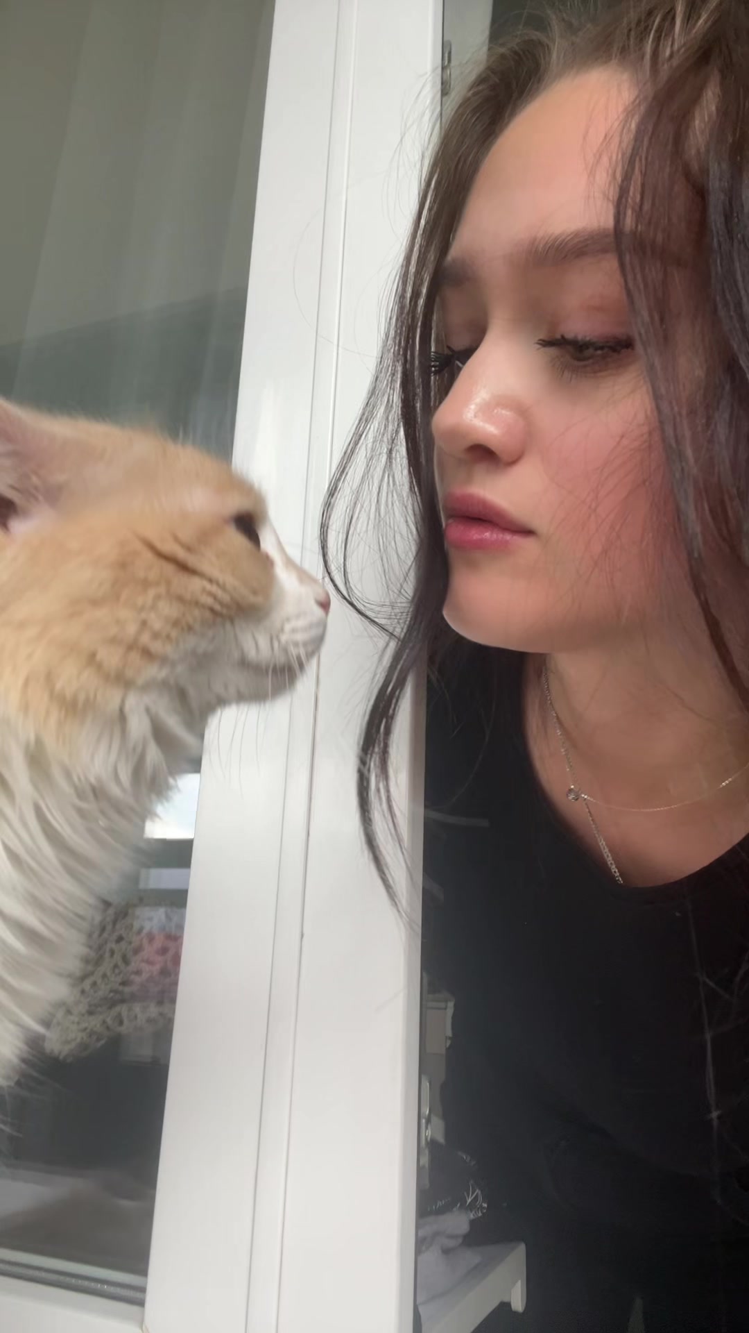 @anfisa