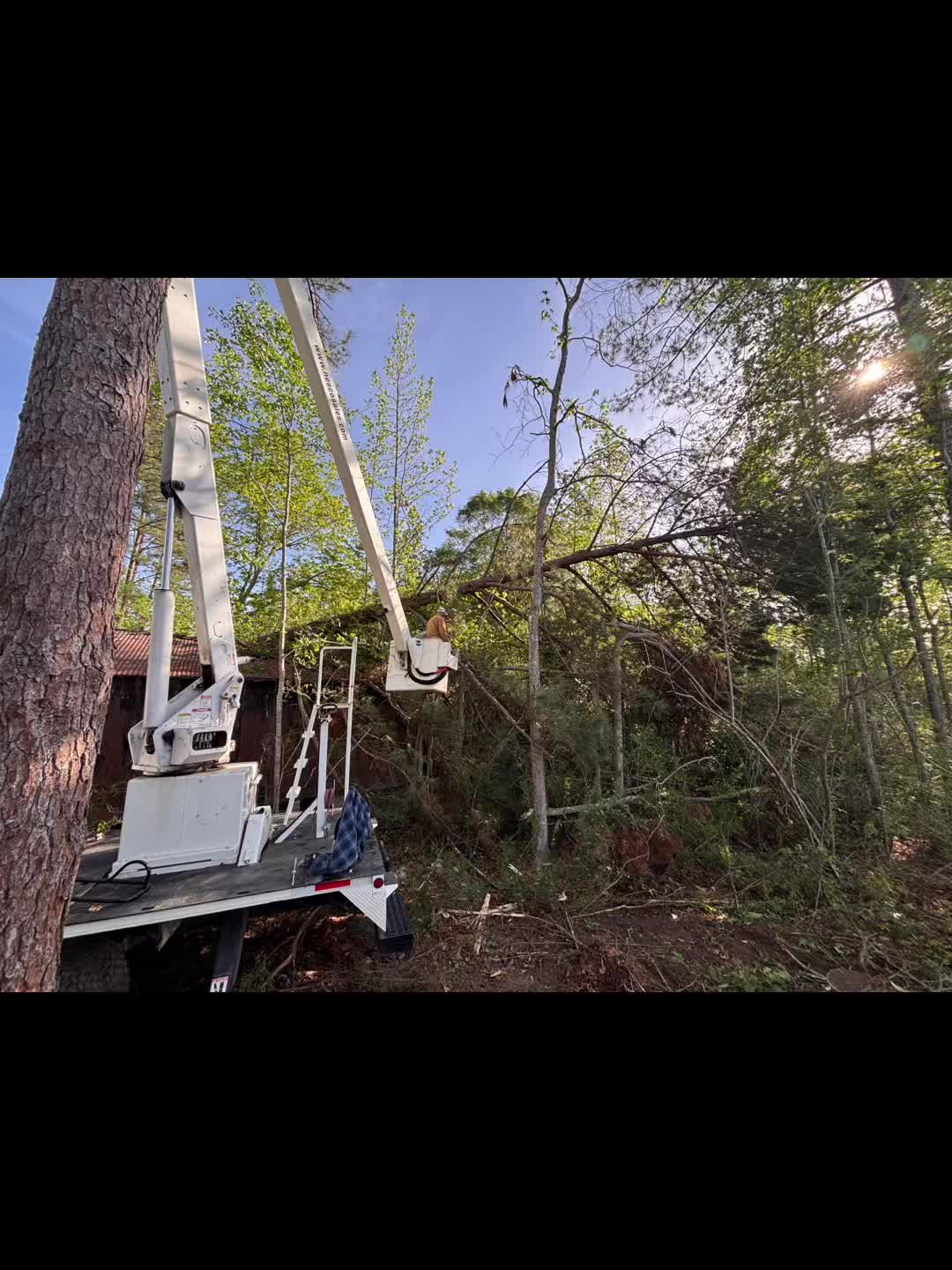 @CSR Tree Service, LLC.