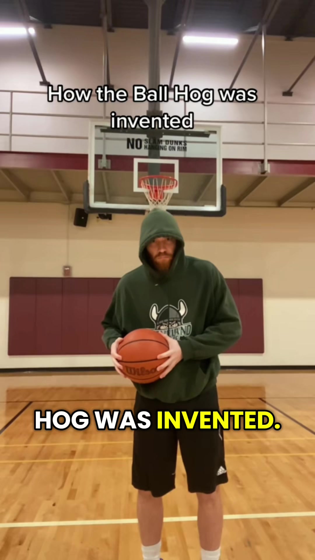 @Mr Bearded Dragon