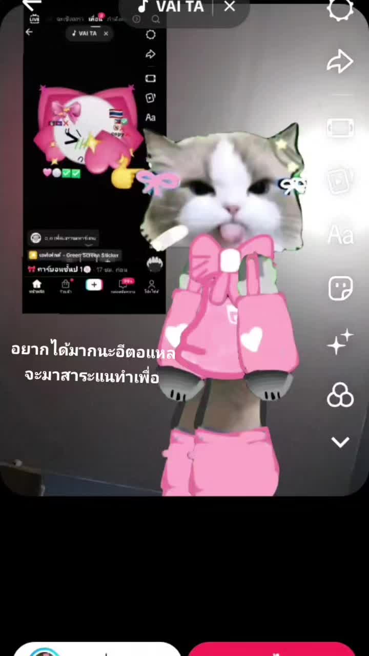 @🌸💮🌺มนอัน🌺🩷💮