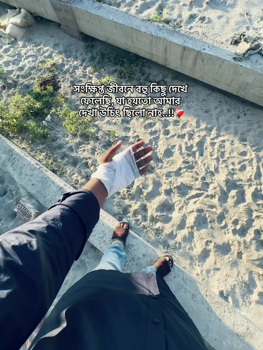 @🐊