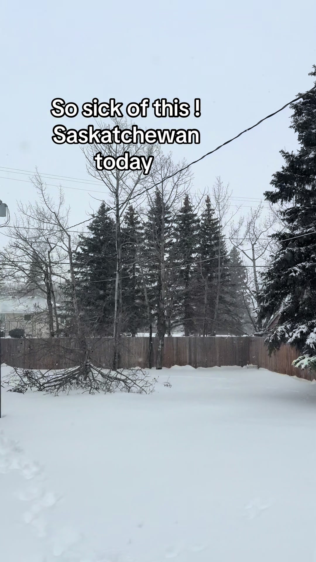 @akaiser🇨🇦