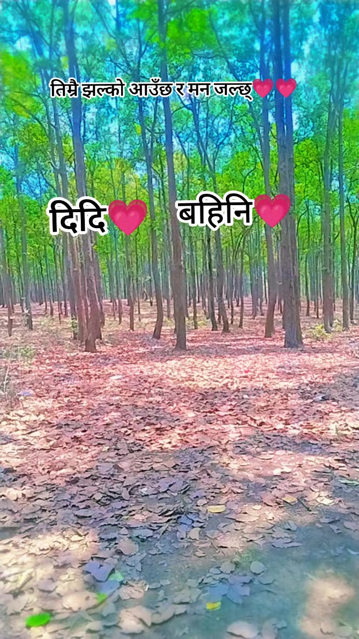 @PK