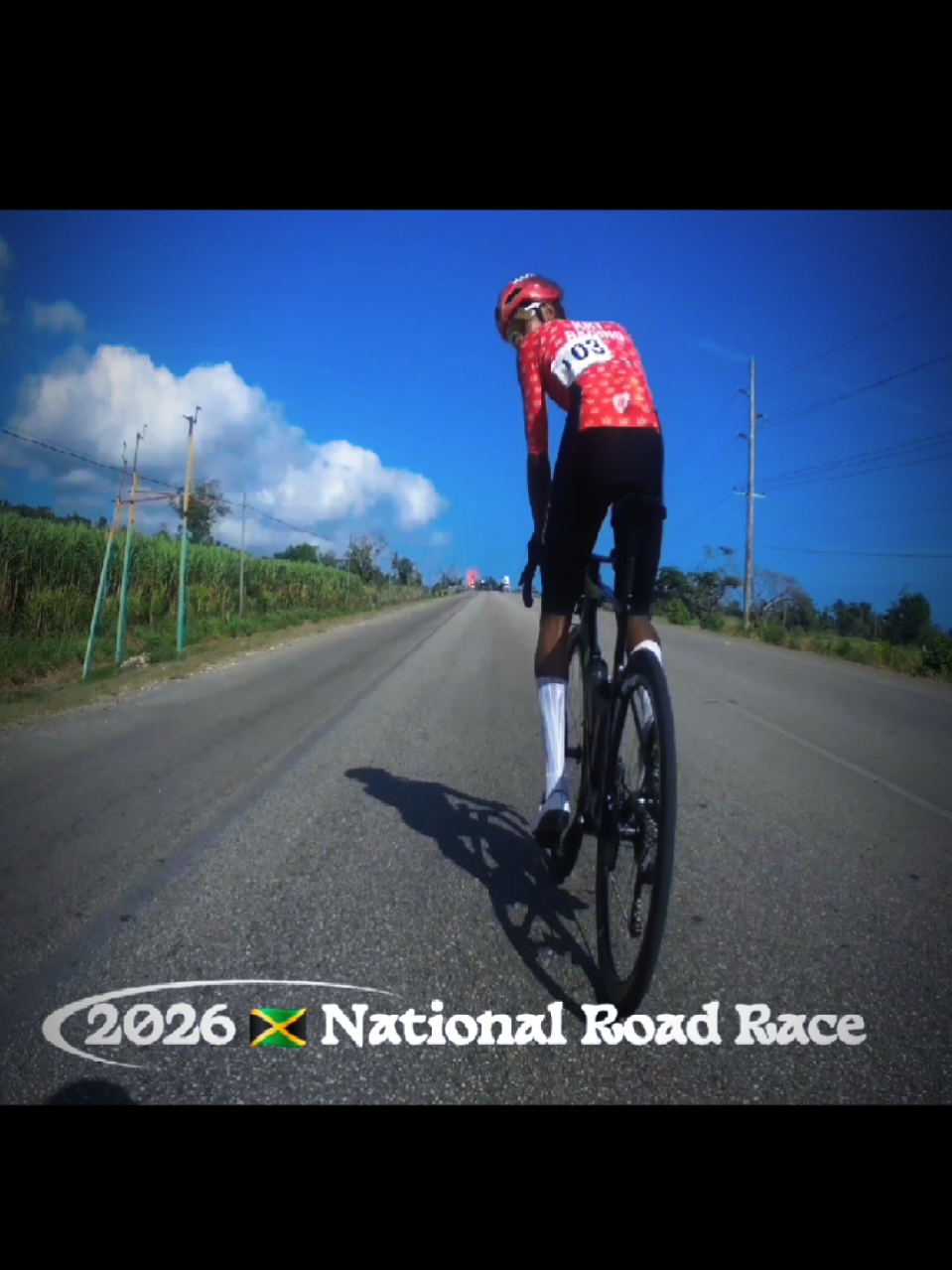 @pedalpulse