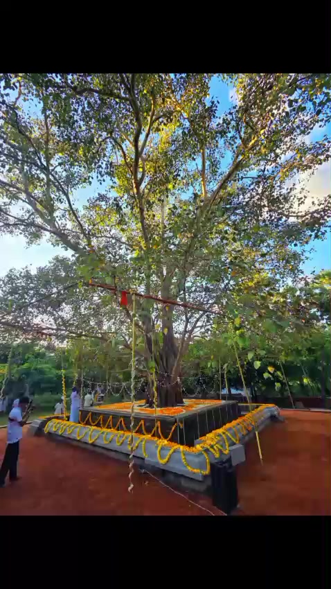 @Udayangani Dharamapala