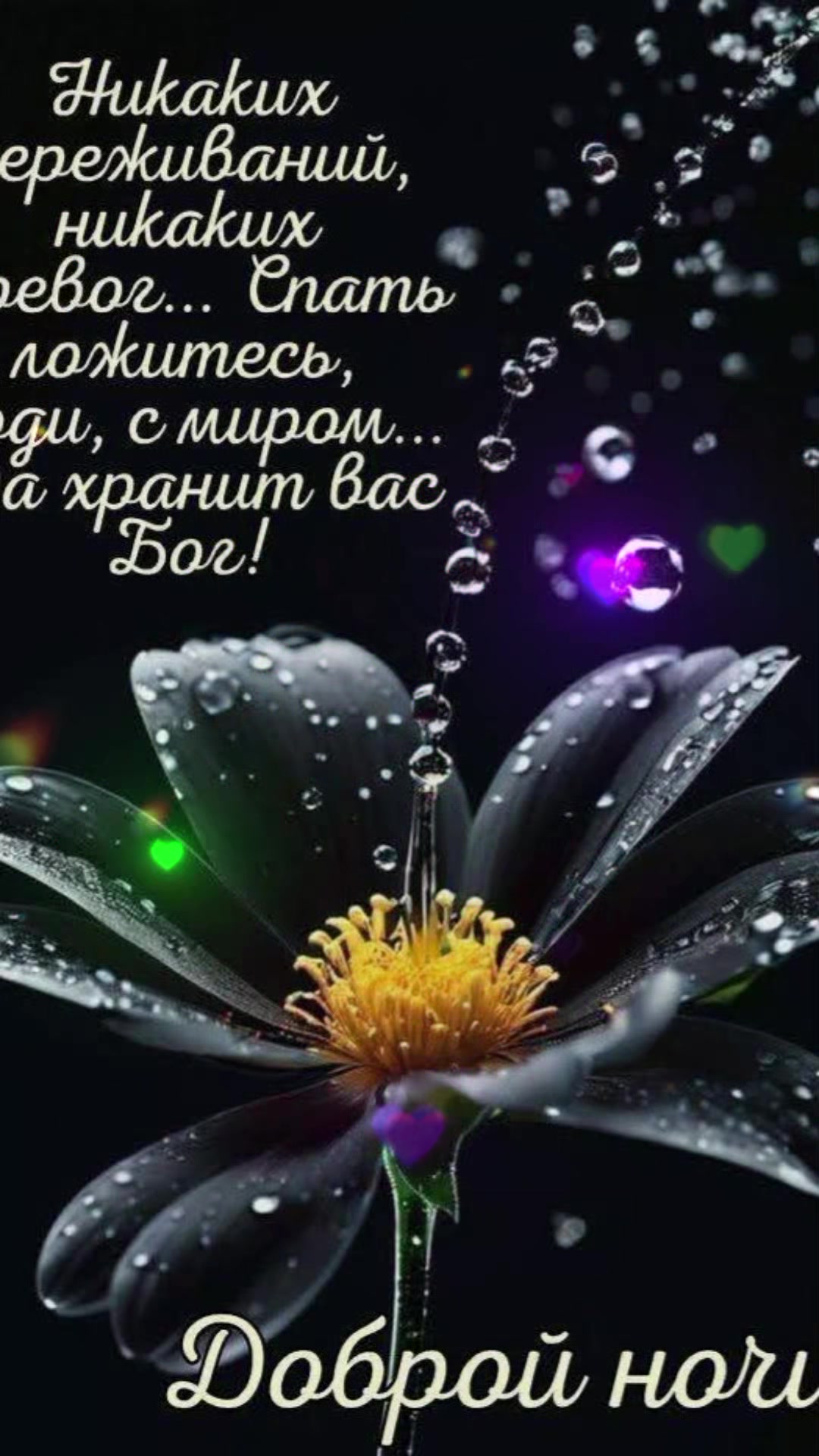 @Светлана Цокан