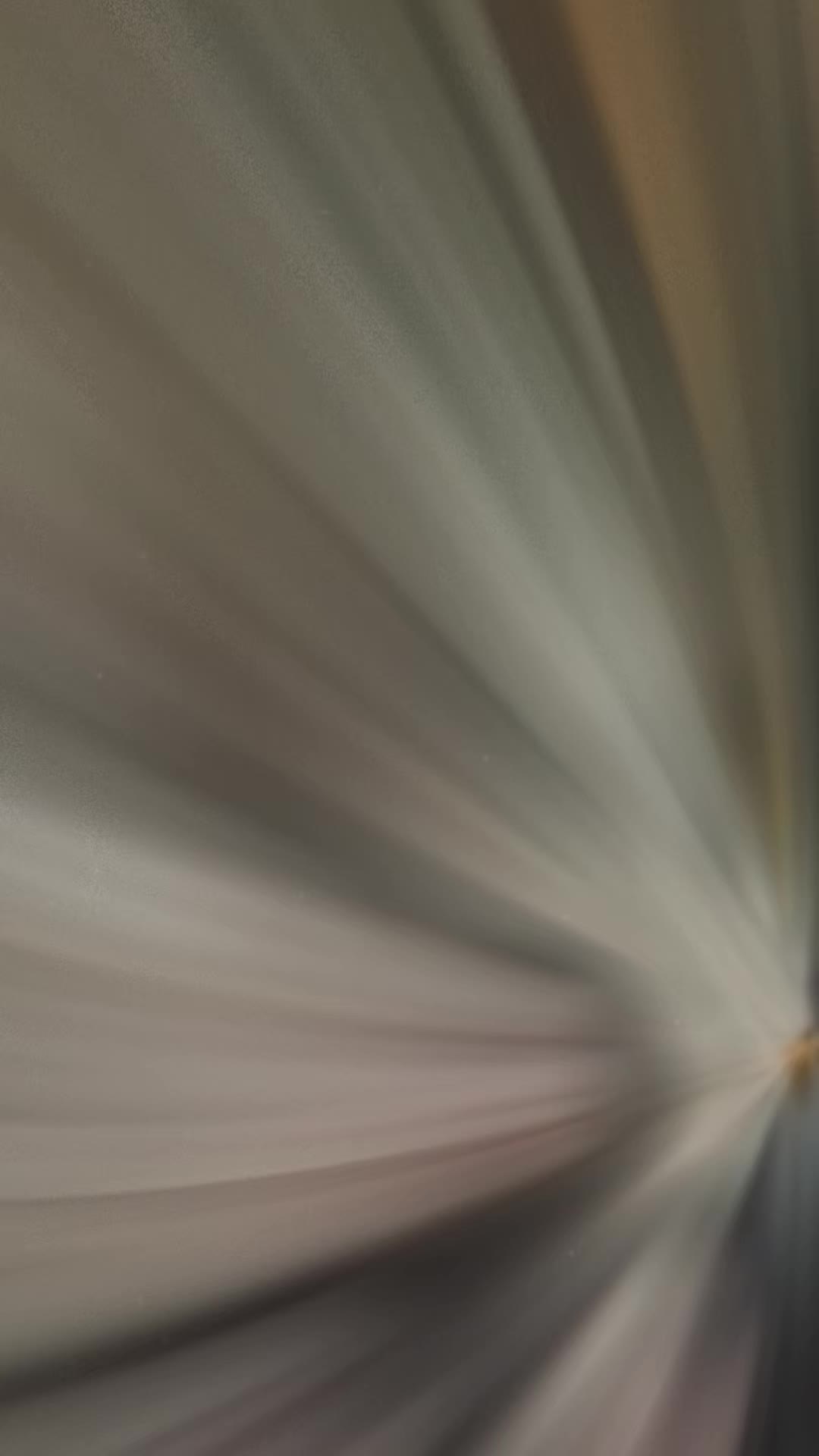 @T E A C H E R V I E T