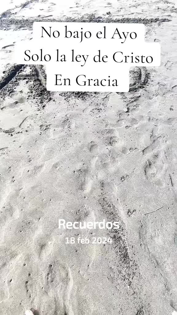 @teologiaavanzada.org
