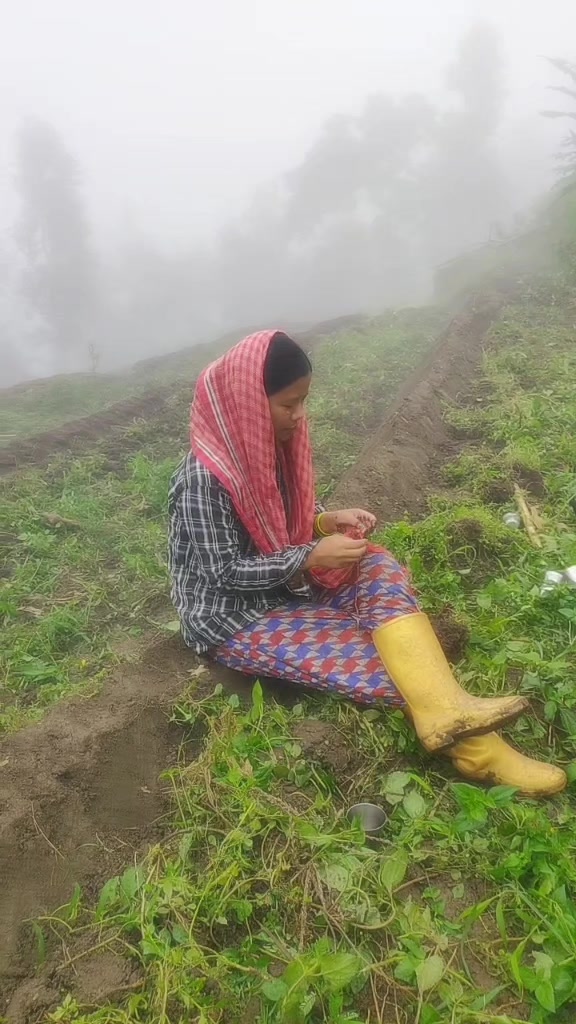 @प्रकृति 🧿