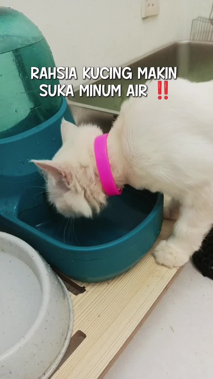 @Norazrena | Racun Tiktok