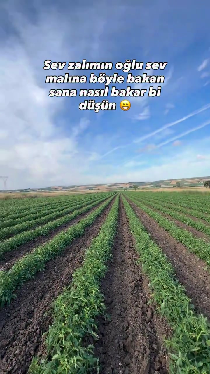 @gozde