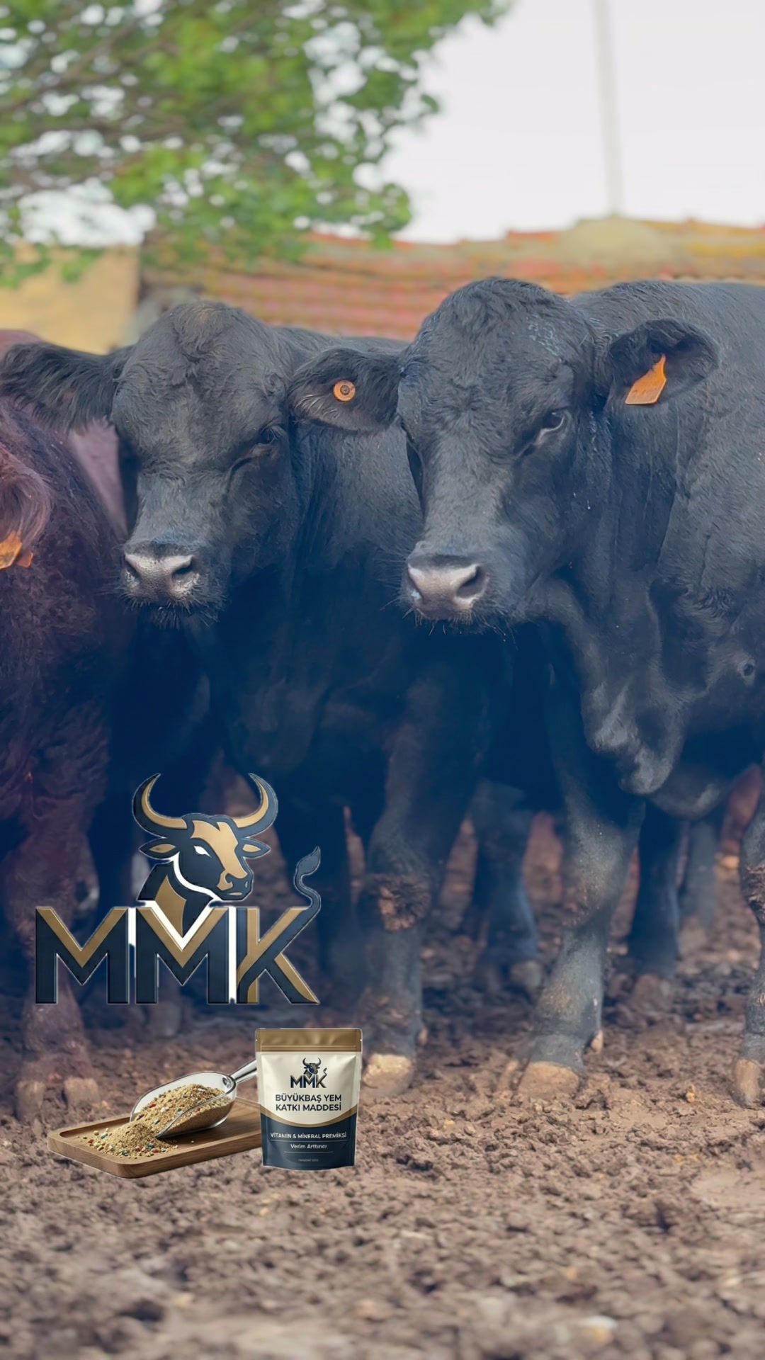 @MMK YEM KATKI MADDELERİ