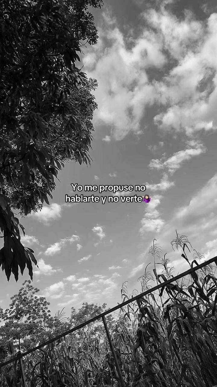 @🫦carolina alias samy  🫆