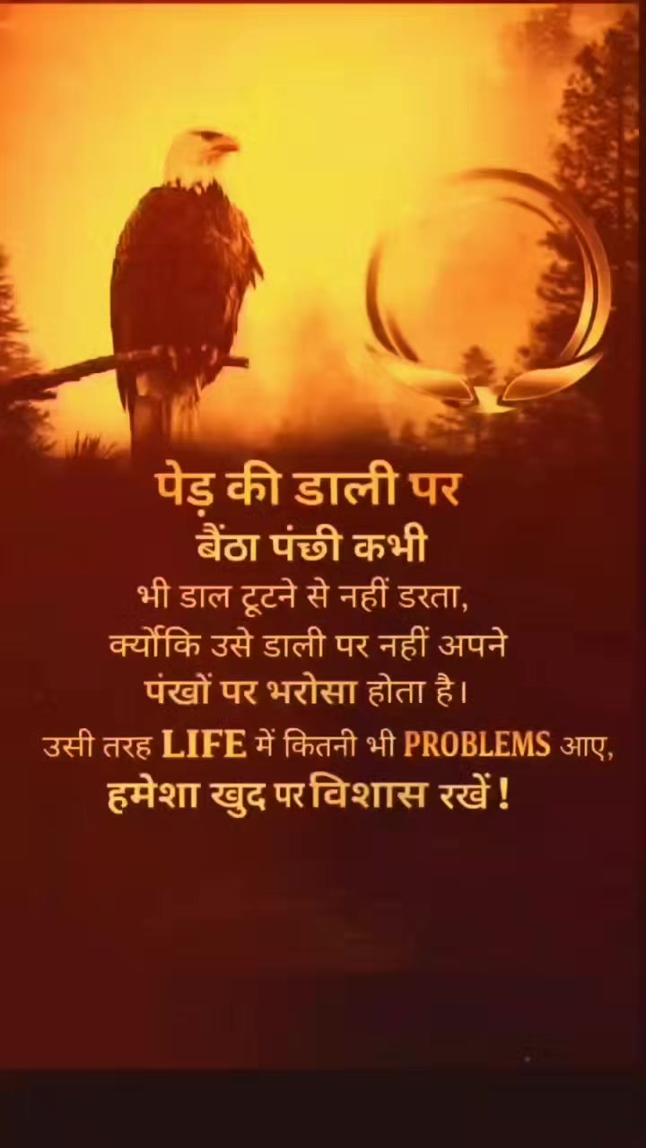 @mushraf Ali@461