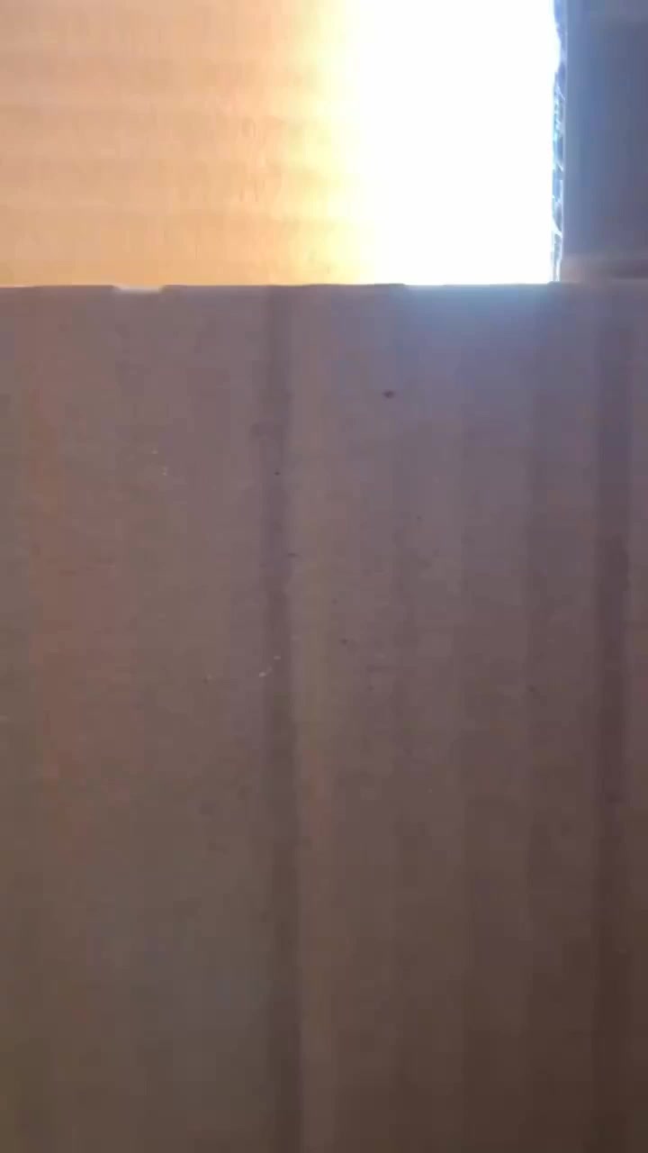 @YanCDMX