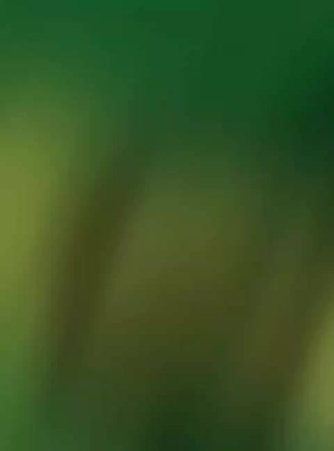 @...
