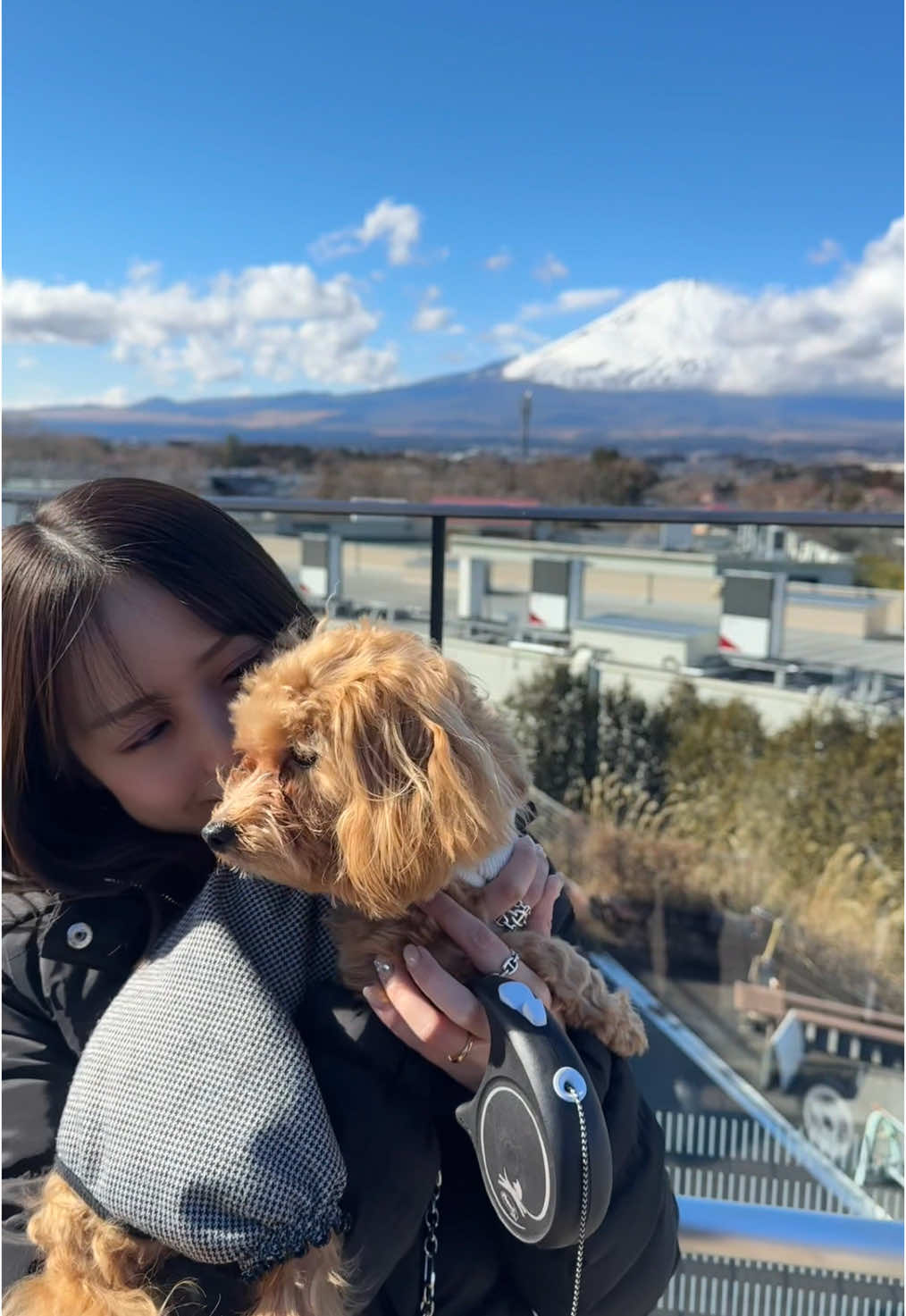 @奥仲麻琴✈️
