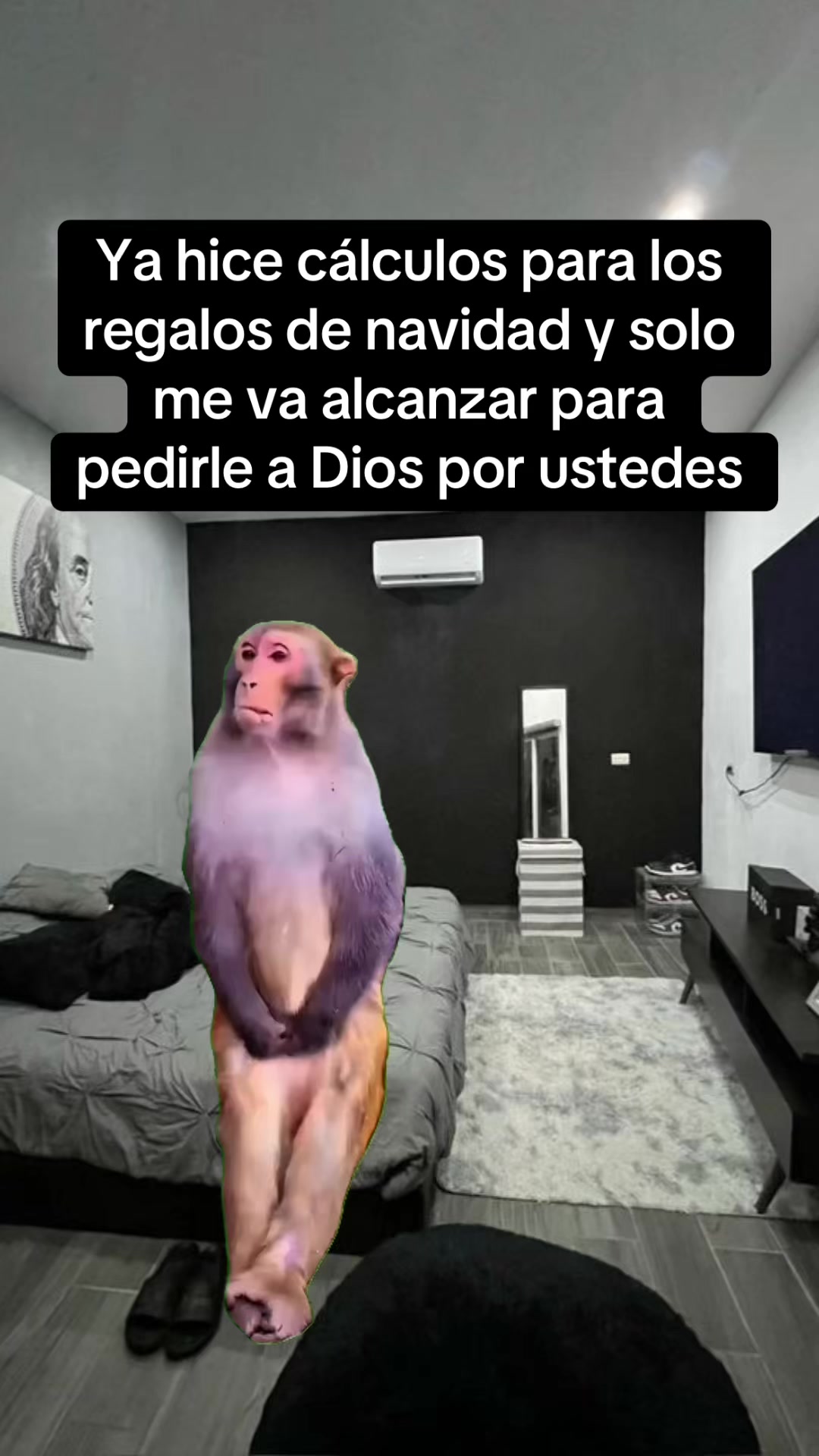 @José Francisco olmedo