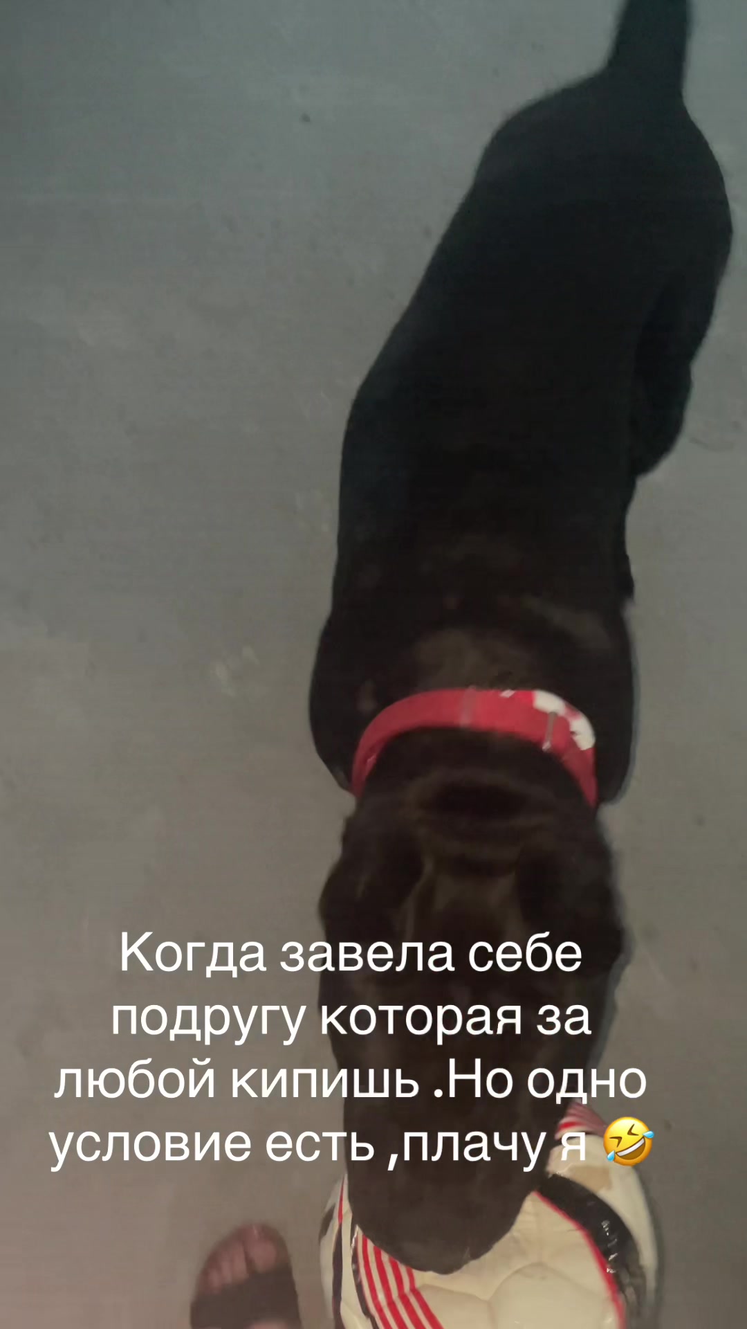 @Anna329kkov