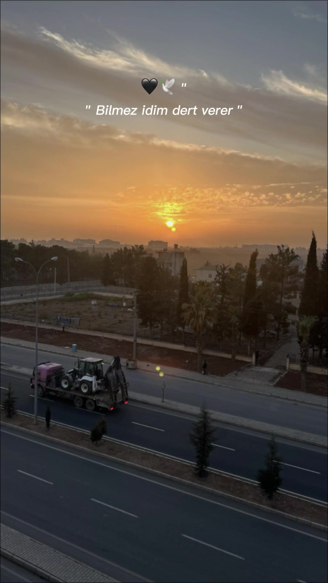 @🇹🇷 MaRaŞLI🐺