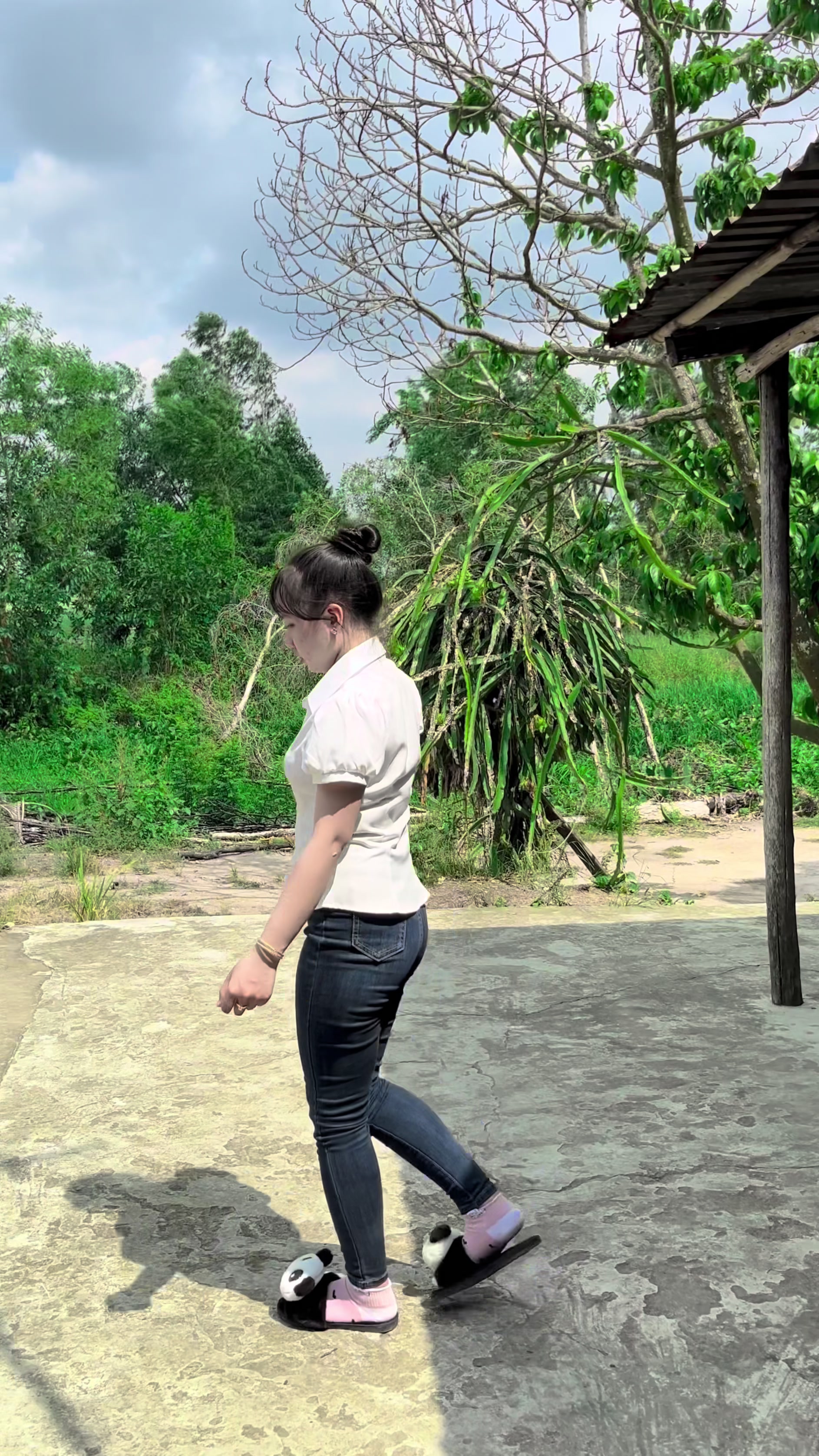 @Cẩm Trúc