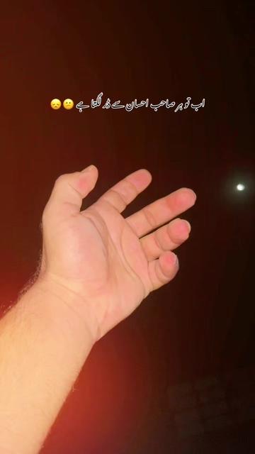 @چوہدری شعیب احمد 🦅